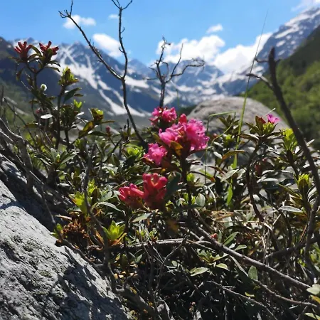 Piz-hotel Szálloda Sankt Leonhard im Pitztal