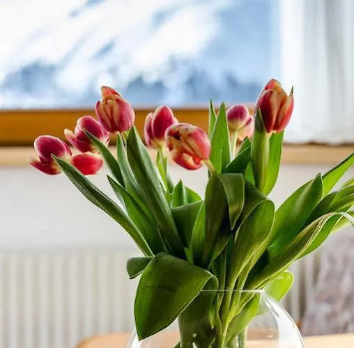 Piz-hotel ザンクト・レオンハルト・イム・ピッツタール