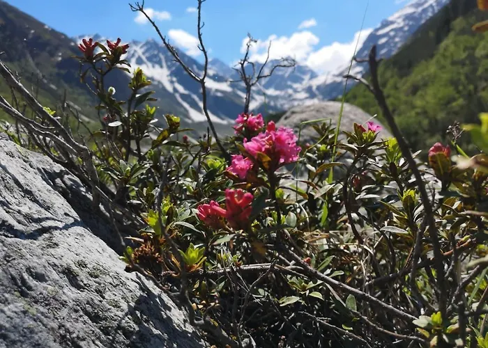 Piz-hotel ホテル ザンクト・レオンハルト・イム・ピッツタール