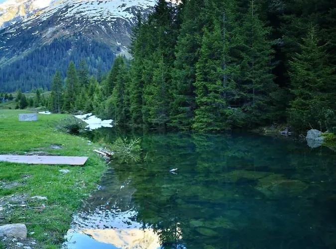 Piz-hotel ホテル ザンクト・レオンハルト・イム・ピッツタール