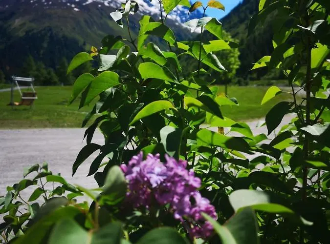 Hotel Piz-hotel St. Leonhard im Pitztal