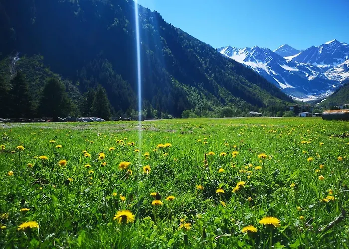 ホテル Piz-hotel 3*