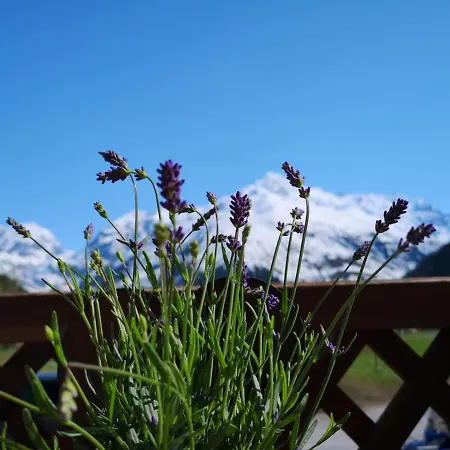 Piz-hotel
